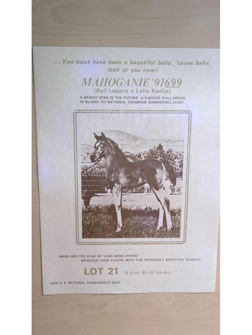 1974 US National Consignment Sale Catalog Page Mahoganie #91699 Arabian Horse